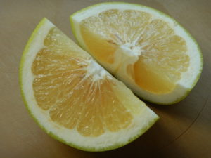 スウィーティー（果物）の食べ方！どんな味？時期や値段は？