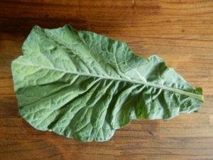 ケールの食べ方！生？茎も食べれる？加熱調理法をご紹介します！