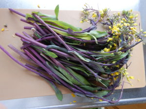 紅菜苔（こうさいたい）の味や食べ方とは？炒め物などの簡単レシピ4選！