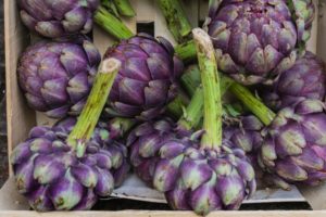 【ハナタカ】アーティチョークの食べ方！どんな味？食感は？