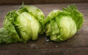 【ヒルナンデス】中華風レタス炒めの作り方！家政婦マコさんのレシピ！