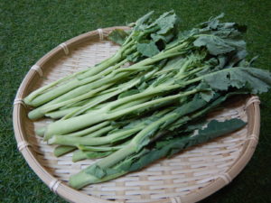 のらぼう菜食べ方！簡単レシピ3選！どんな味？美味しい調理法とは？