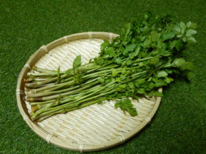 せりの食べ方！下処理は必要？生食できる？！簡単3レシピ紹介します！