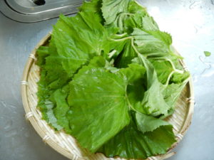 ふきの葉っぱの食べ方とは？佃煮の作り方や下処理のやり方を紹介！