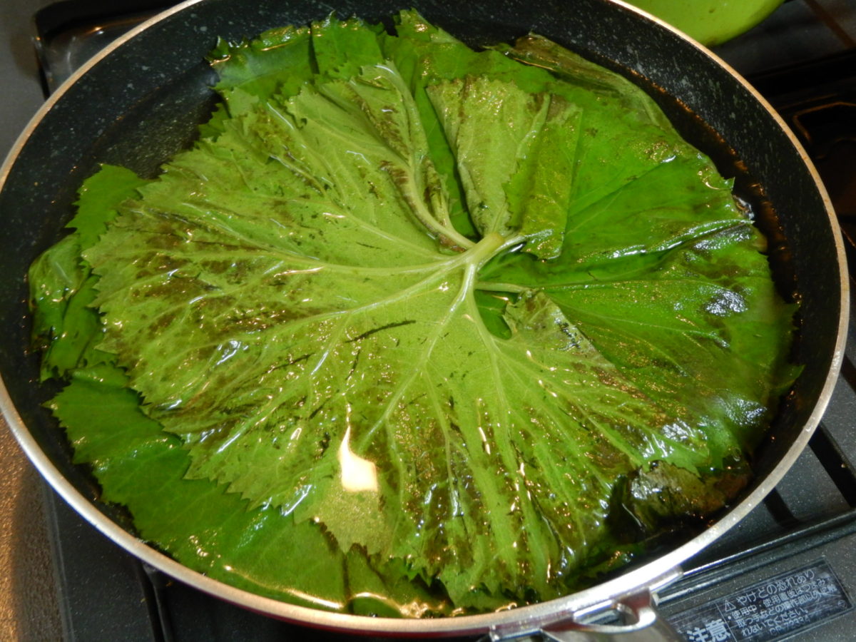 ふきの葉っぱの食べ方とは 佃煮の作り方や下処理のやり方を紹介 Lostathome