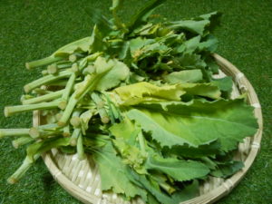 かき菜の食べ方！人気レシピや美味しい調理法とは？花も食べられる？