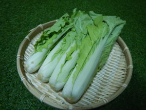 山東菜の食べ方！下ごしらえや美味しい調理法とは？３レシピ作ってみた！