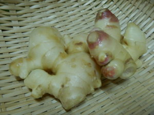 新生姜食べ方！美味しく食べられる調理法を６つ検証してみました！