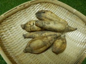 くりさつまのレシピ！美味しい食べ方や下ごしらえのやり方とは？