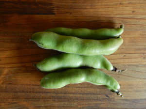 そらまめの美味しい食べ方と簡単な下ごしらえのやり方を紹介！